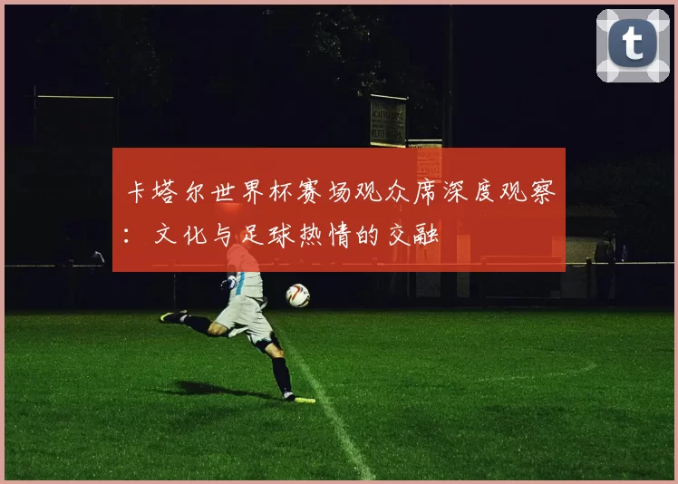 卡塔尔世界杯赛场观众席深度观察:文化与足球热情的交融