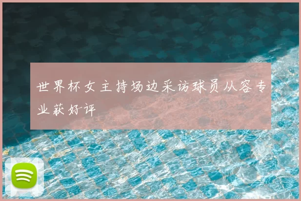 世界杯女主持场边采访球员从容专业获好评