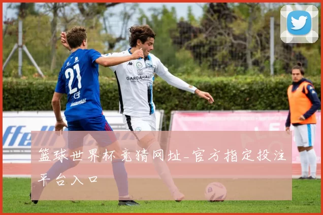 篮球世界杯竞猜网址_官方指定投注平台入口