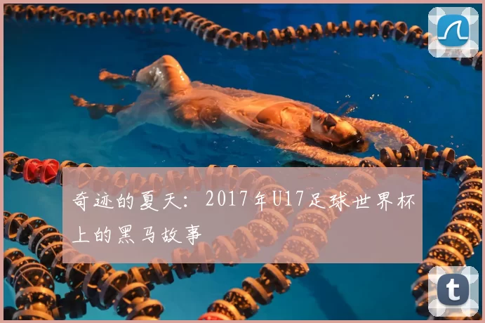 奇迹的夏天：2017年U17足球世界杯上的黑马故事