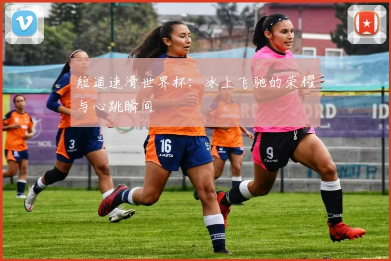 短道速滑世界杯:冰上飞驰的荣耀与心跳瞬间