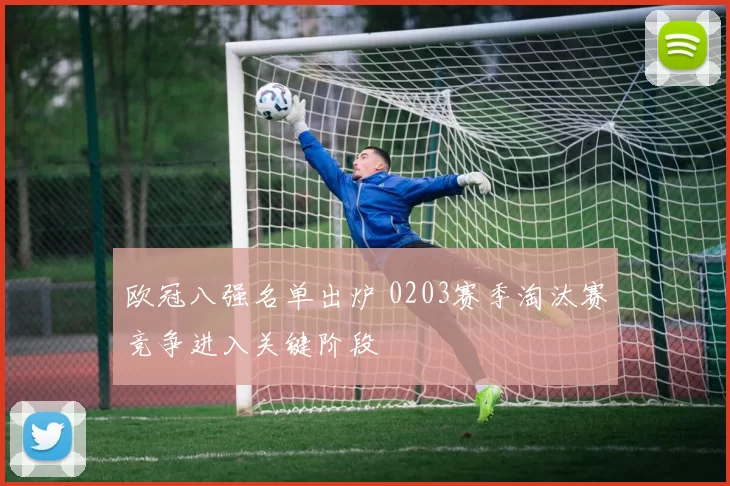 欧冠八强名单出炉 0203赛季淘汰赛竞争进入关键阶段