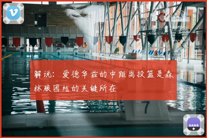 解说：爱德华兹的中距离投篮是森林狼团结的关键所在