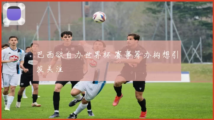 巴西欲自办世界杯 赛事筹办构想引发关注