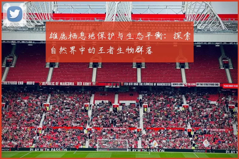 雄鹿栖息地保护与生态平衡：探索自然界中的王者生物群落