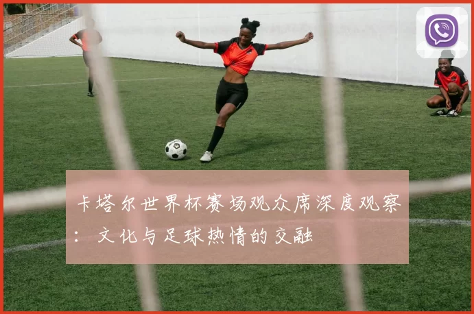卡塔尔世界杯赛场观众席深度观察:文化与足球热情的交融