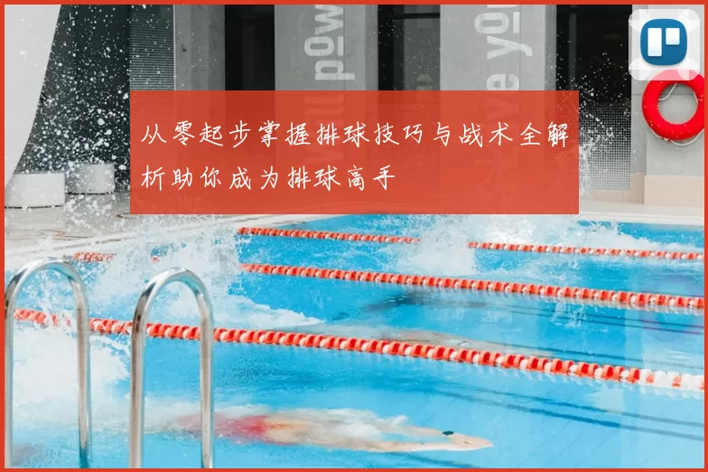 从零起步掌握排球技巧与战术全解析助你成为排球高手