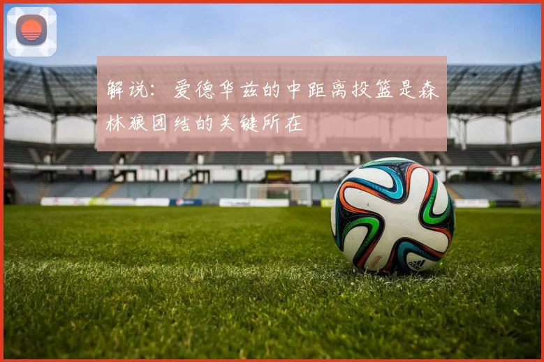 解说:爱德华兹的中距离投篮是森林狼团结的关键所在