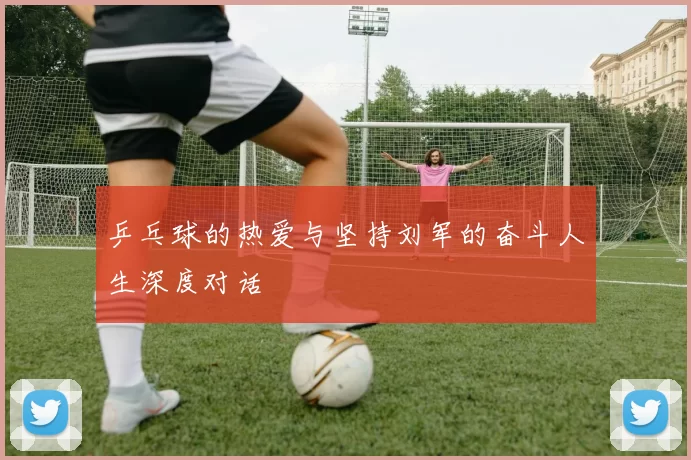 乒乓球的热爱与坚持刘军的奋斗人生深度对话