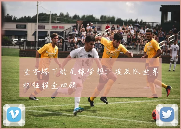 金字塔下的足球梦想:埃及队世界杯征程全回顾