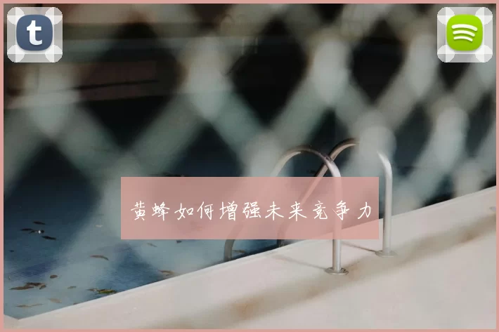 黄蜂如何增强未来竞争力