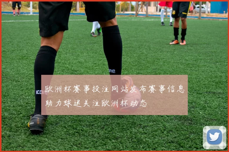 欧洲杯赛事投注网站发布赛事信息助力球迷关注欧洲杯动态