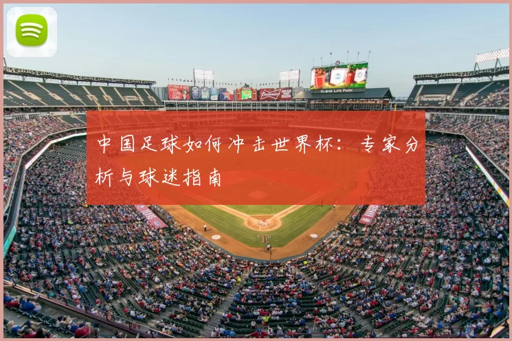 中国足球如何冲击世界杯：专家分析与球迷指南