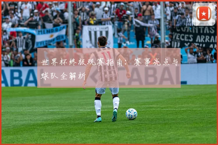 世界杯终极观赛指南:赛事亮点与球队全解析