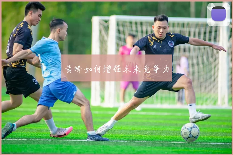 黄蜂如何增强未来竞争力