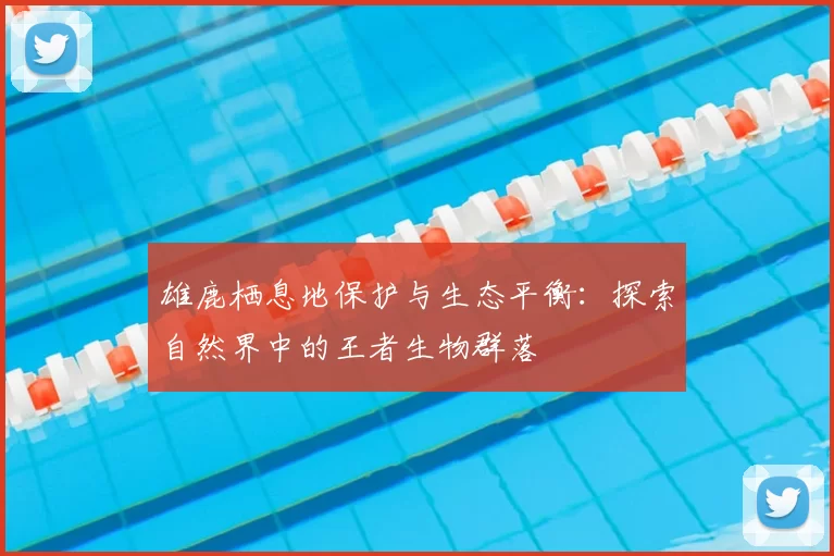 雄鹿栖息地保护与生态平衡：探索自然界中的王者生物群落