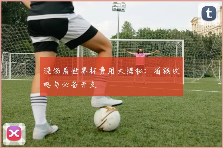 现场看世界杯费用大揭秘:省钱攻略与必备开支