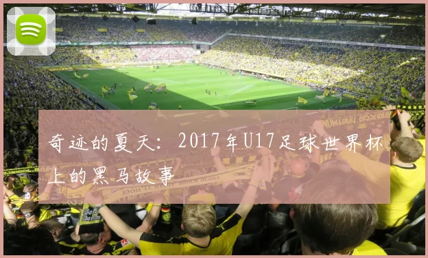 奇迹的夏天:2017年U17足球世界杯上的黑马故事