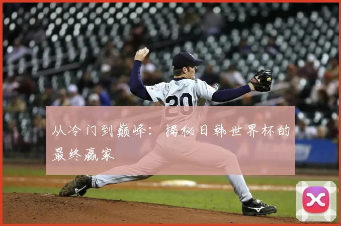 从冷门到巅峰：揭秘日韩世界杯的最终赢家