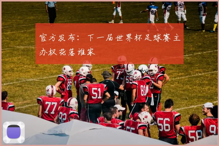官方发布：下一届世界杯足球赛主办权花落谁家