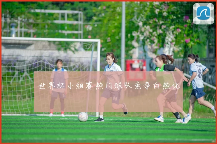 世界杯小组赛热门球队竞争白热化