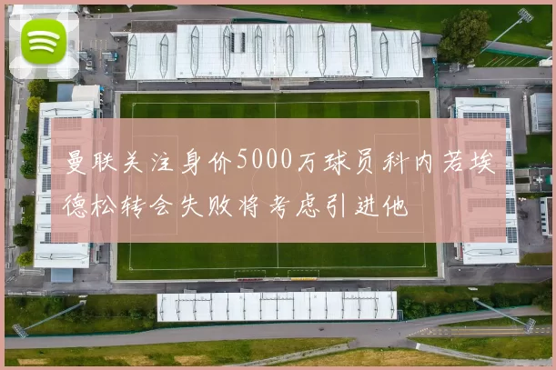 曼联关注身价5000万球员科内若埃德松转会失败将考虑引进他