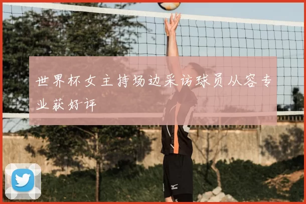 世界杯女主持场边采访球员从容专业获好评