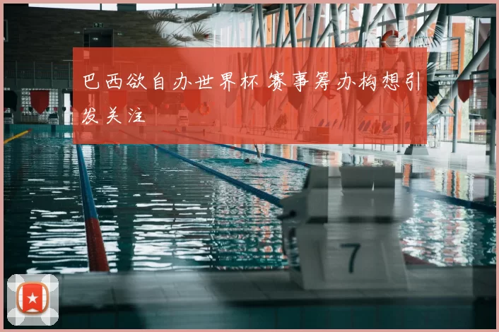 巴西欲自办世界杯 赛事筹办构想引发关注