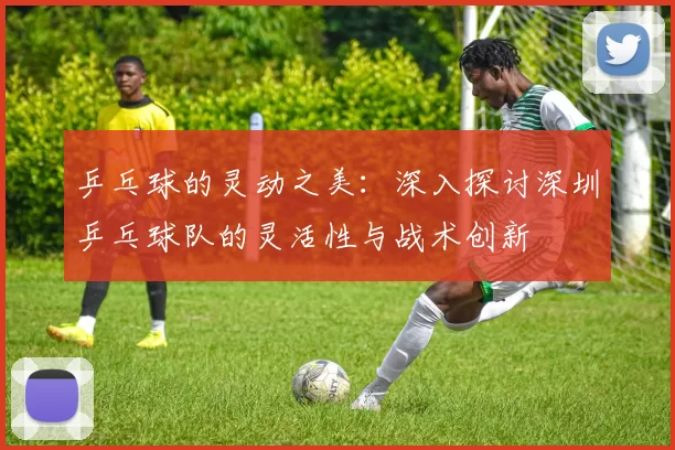 乒乓球的灵动之美：深入探讨深圳乒乓球队的灵活性与战术创新